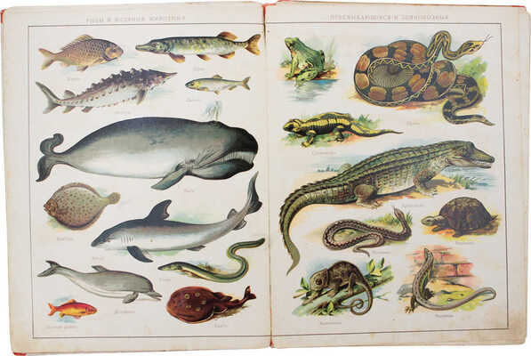 Мир в картинках. М.: Изд. В.М. Саблина, 1912.